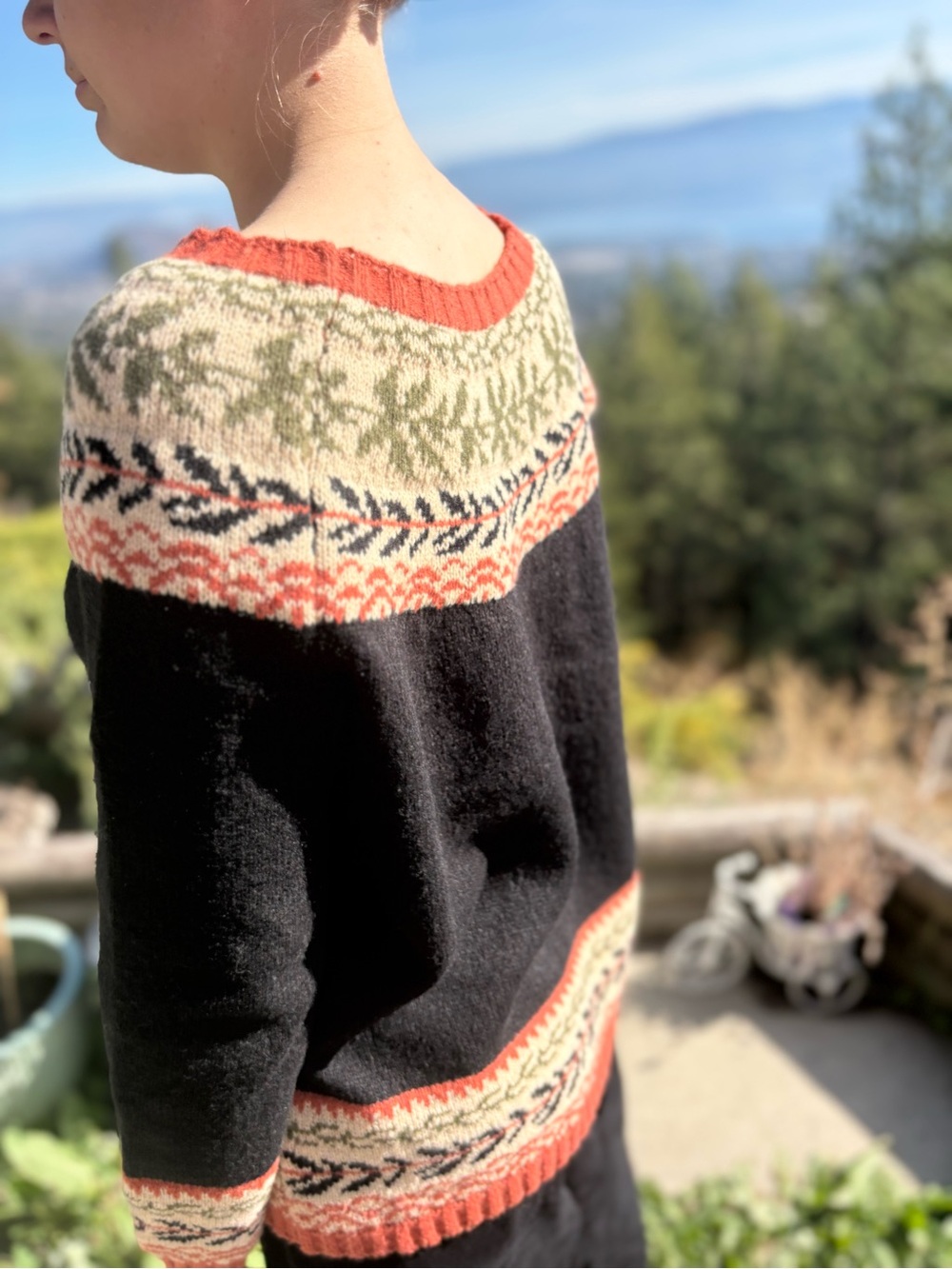 Ladies Fall Sweater - Picture 4 of 10